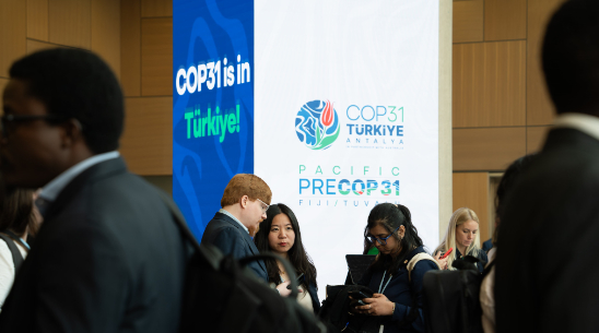 Who Will Deliver the Energy Transition? Why Credibility Matters