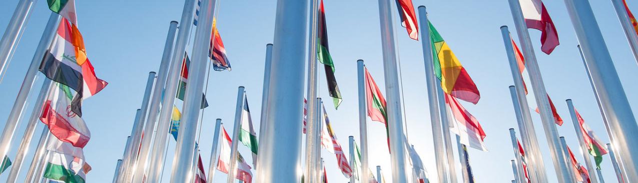 COP25 flags