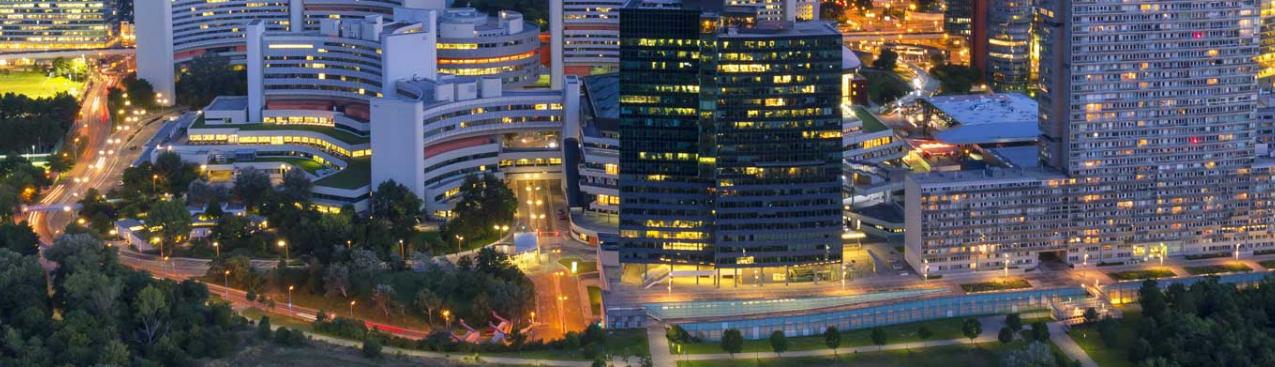 Vienna skyline