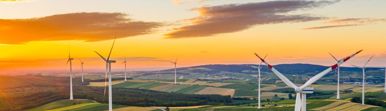 Wind park