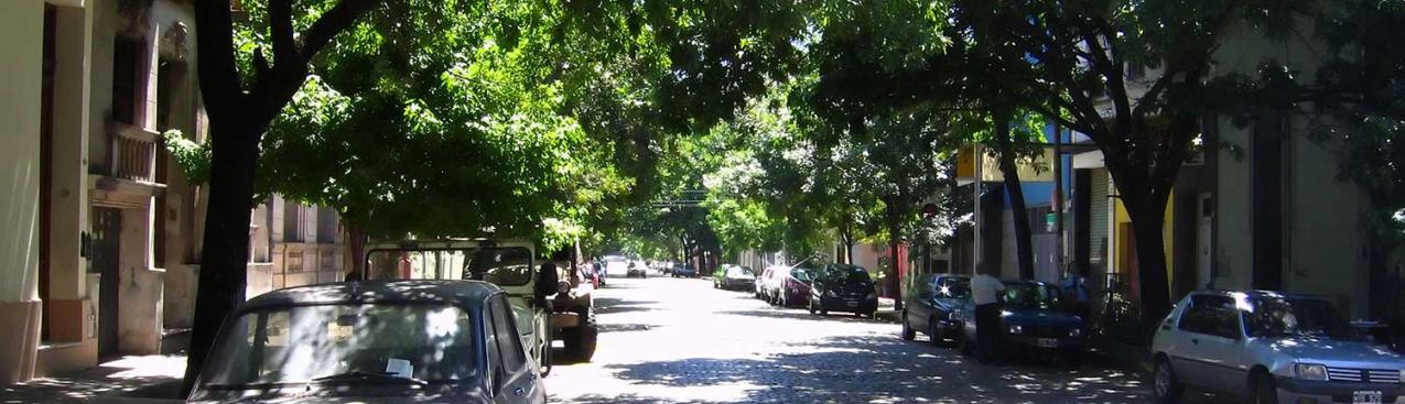 Street with trees and shade