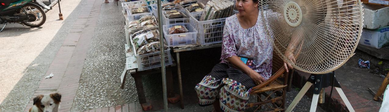 Fan at a market