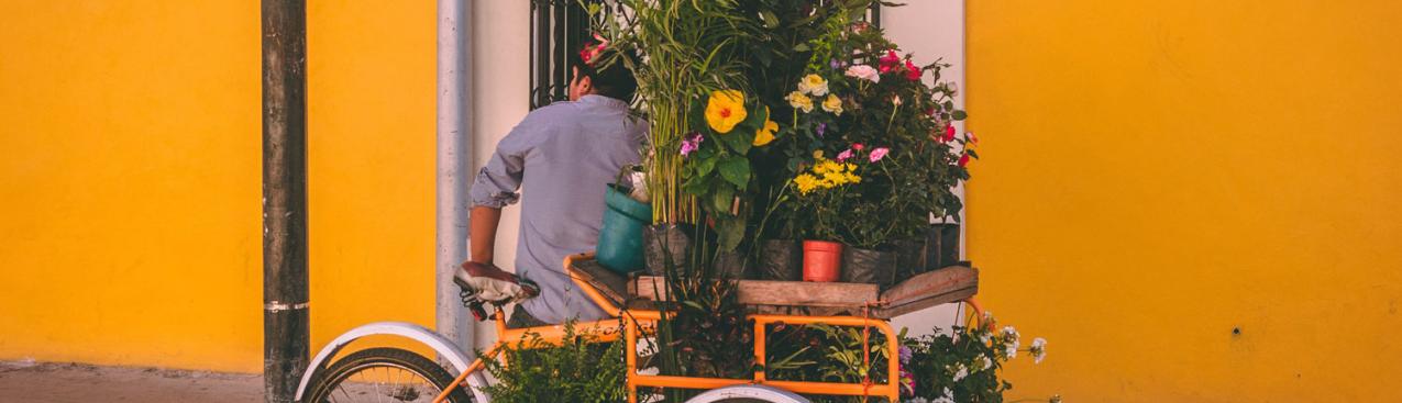 Man with flower cart