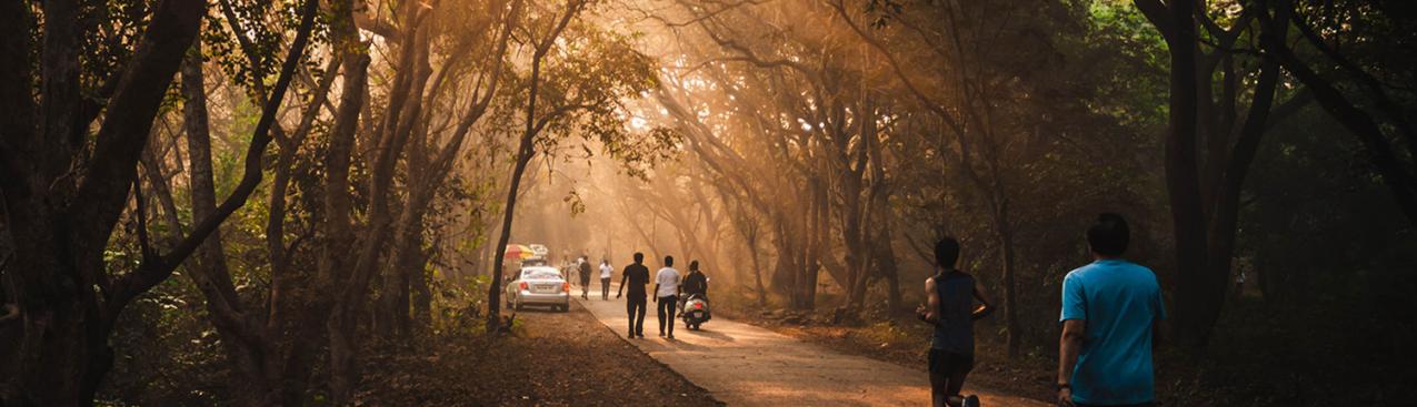 Park in Mumbai