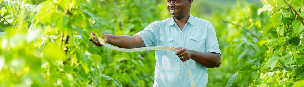 Rwanda-solar-water-pump