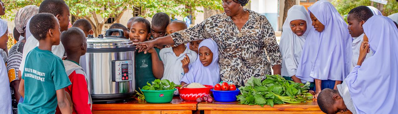 Clean cooking in Tanzania schools