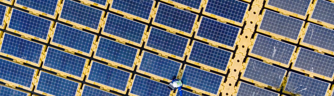 Energy Compact Action Network (ECAN)