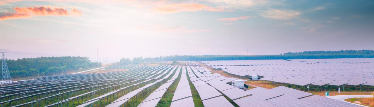 Inclusive Industrial Decarbonisation Policies