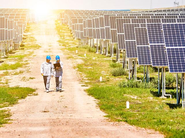 Solar farm