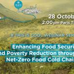 ThisIsCool webinar