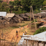 web-thumb-casestudy-madagascar.png
