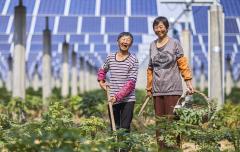 Tracking SDG7