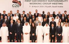 G20 Energy Ministerial