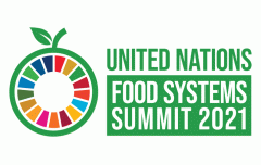 UN Food Systems Summit logo