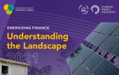 Understanding the Landscape cover
