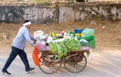 Vegetable cart