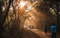 Park in Mumbai