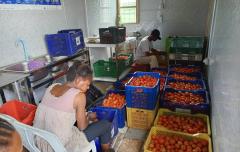 CoolCycle's Innovation Empowers Food Security in Nigeria