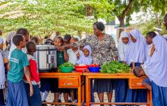 Clean cooking in Tanzania schools