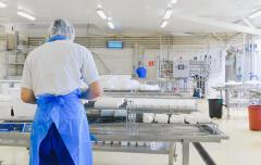 Efficiency opportunities in Thailand’s dairy cold chain