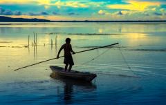 Header - Sustainable Cooling Fisheries Sub-Saharan Africa