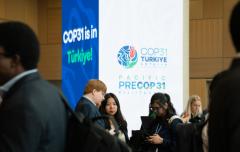 COP31