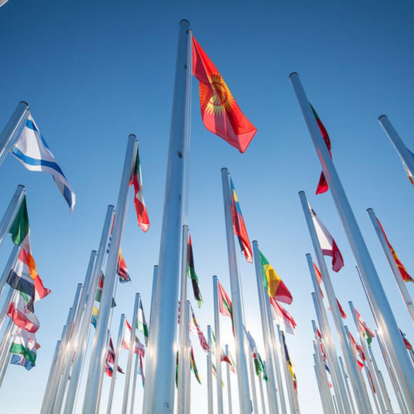 COP25 flags