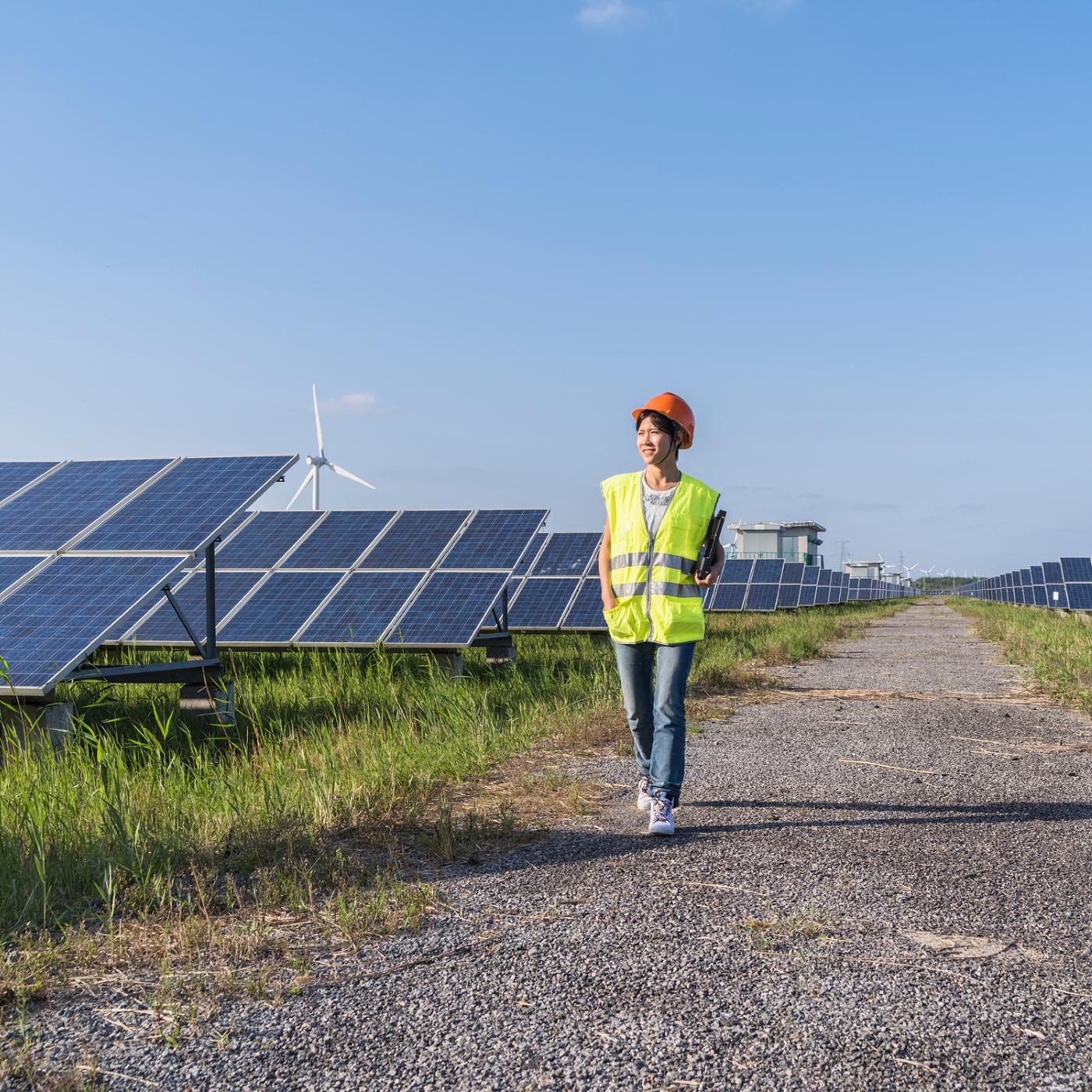 solar panels