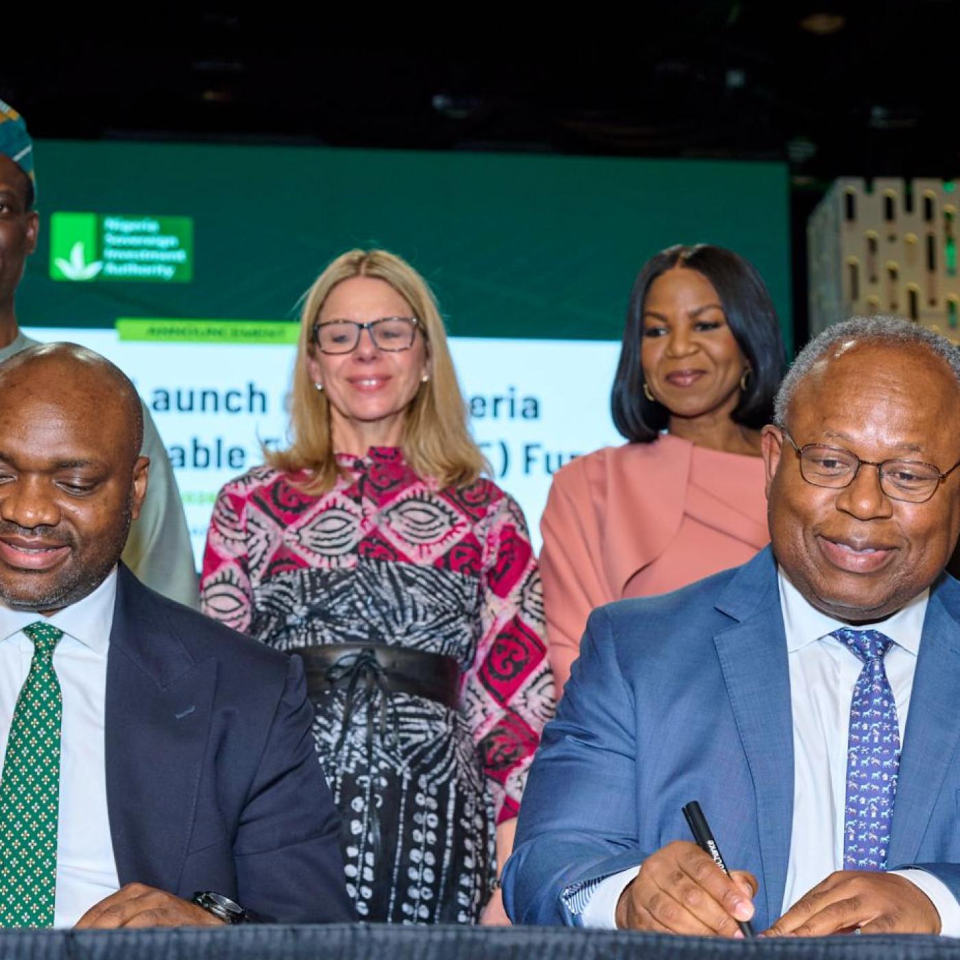 Nigeria DRE Fund: a new financing model for Africa
