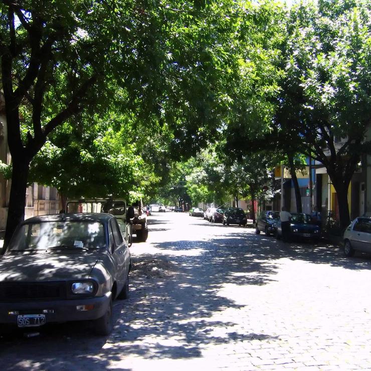 Street with trees and shade