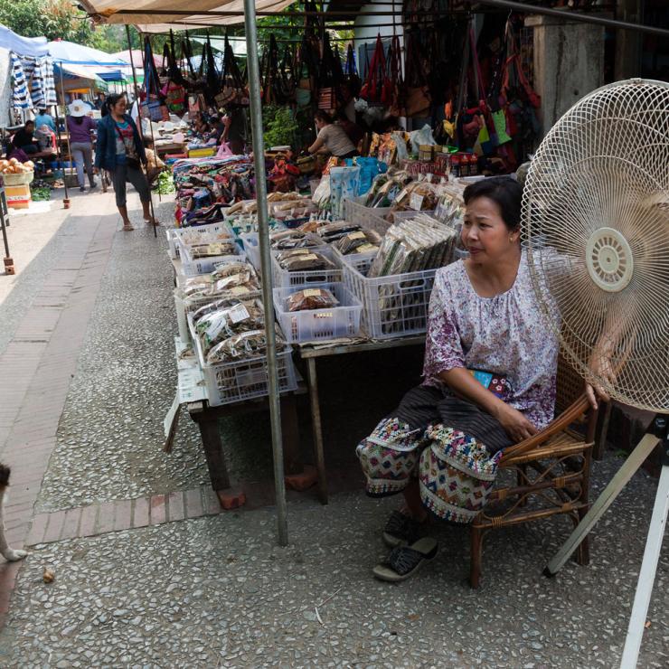 Fan at a market