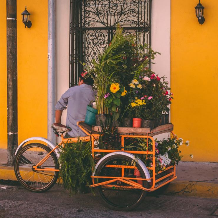 Man with flower cart