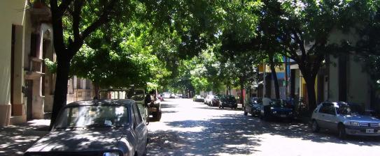 Street with trees and shade