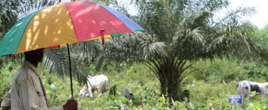 Rural poor