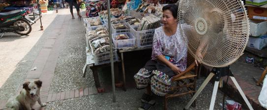 Fan at a market