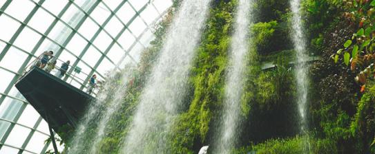 Gardens by the Bay, Singapore