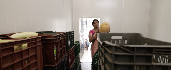 Rourkela Cold room.png