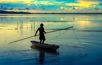 Sustainable Cooling Access for Agriculture & Fisheries in Sub-Saharan Africa