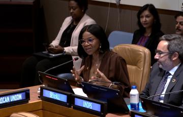 UN Secretary-General Launches Global Grids Accelerator to Power Growth and Clean Energy in Africa and South-East Asia