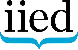 IIED_standard_logo(blue).jpg
