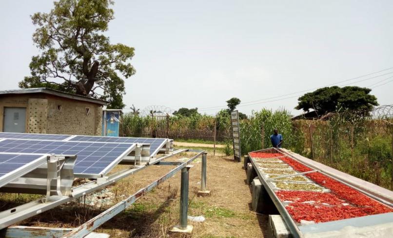 solar dryer