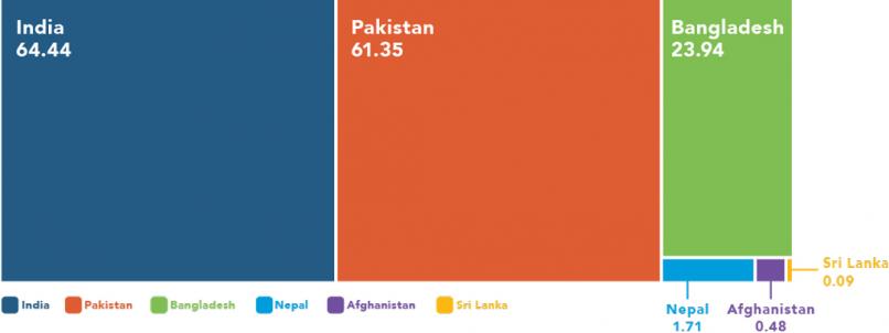 South Asia access gaps